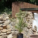 別荘 Fritsch Haeusel Neustadt an der Weinstraße